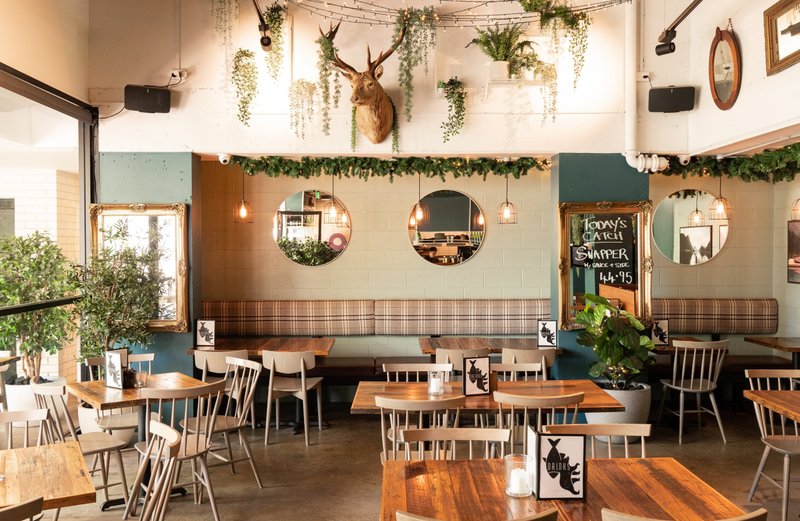 Salmon & Bear - Crows Nest photo 3