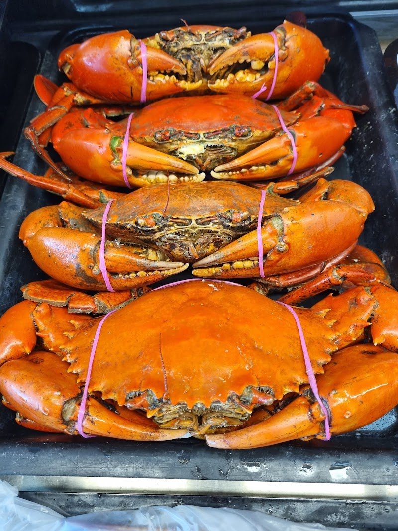 North Shore Seafood Co photo 9