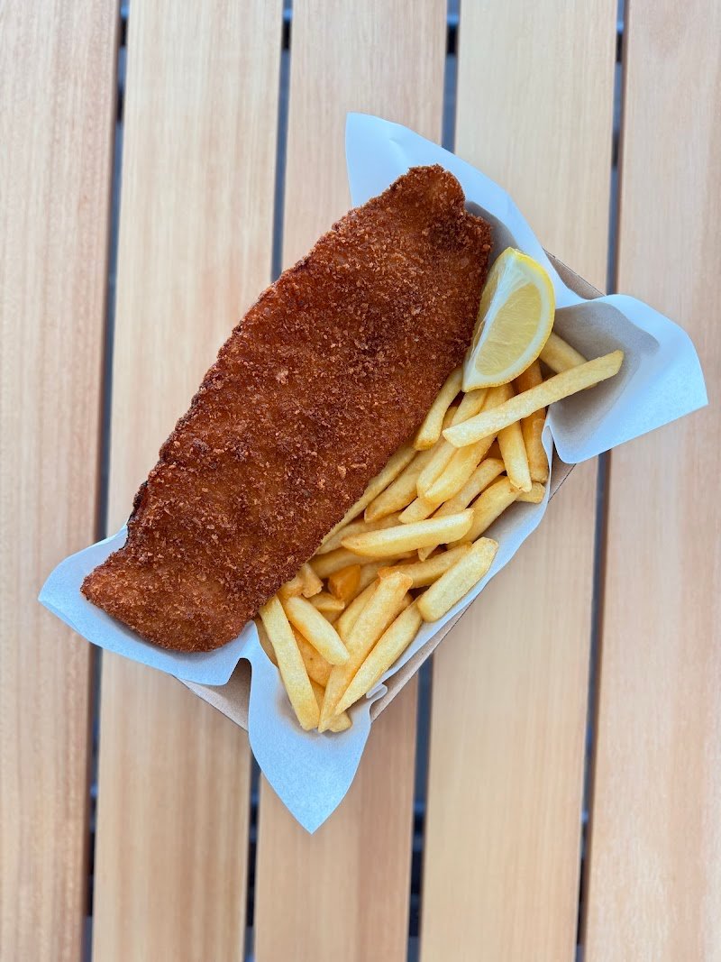 Manta Ray On High photo 8