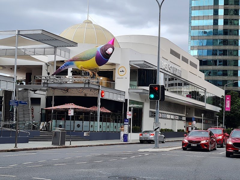 Eagle Street Pier photo 6