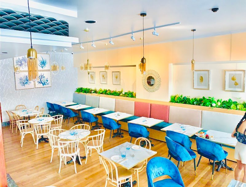 Salma Restaurant Newtown