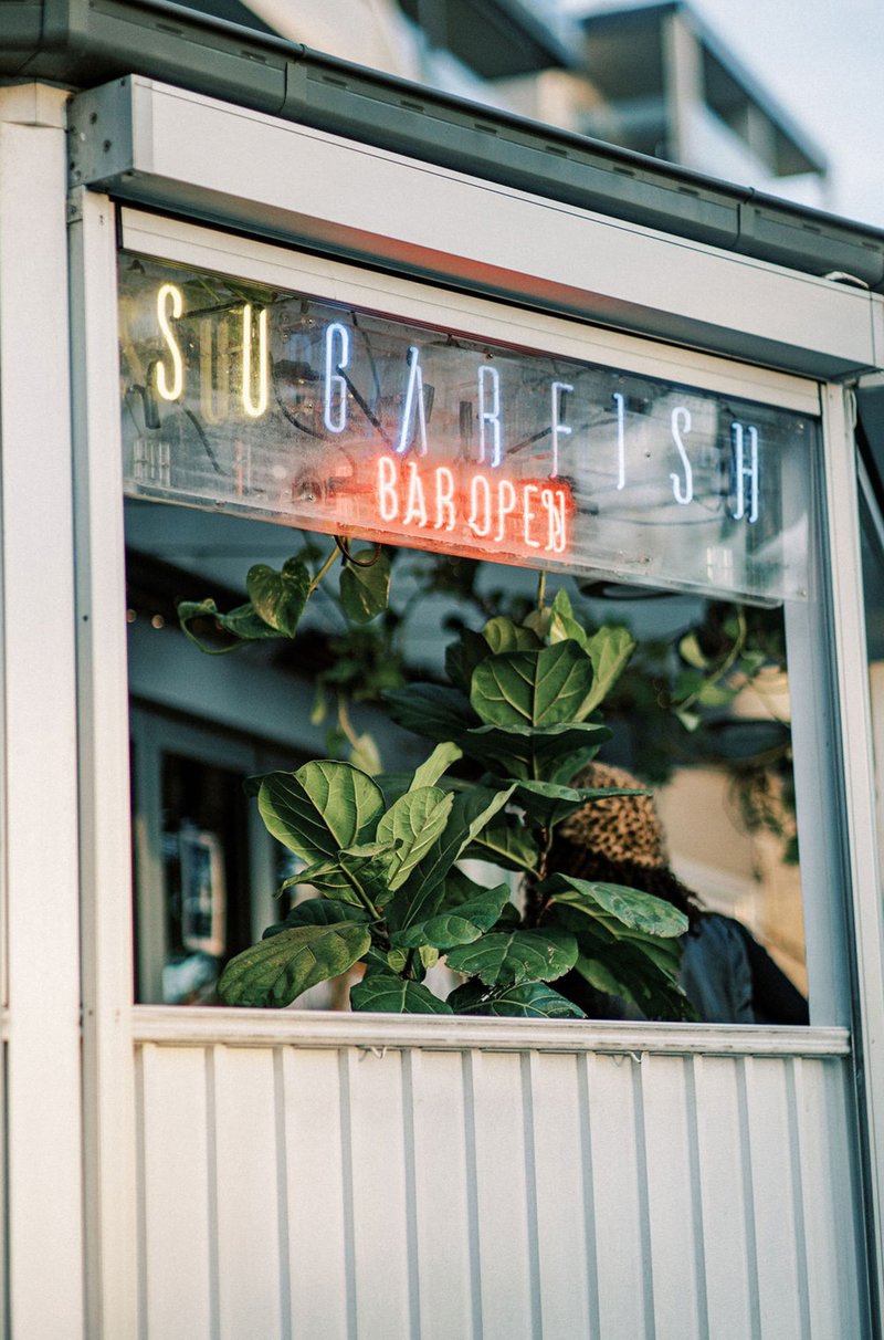 Garfish Manly photo 5