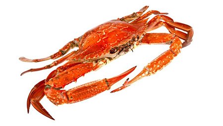 Burswood Seafood photo 5