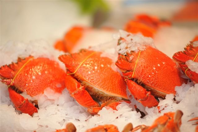 Fresh Seafood Co. photo 4