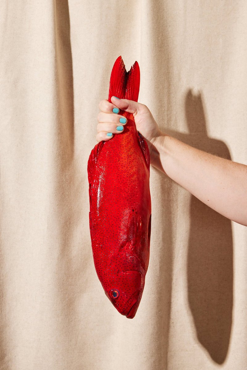 Fosh Bar & Restaurant photo 3