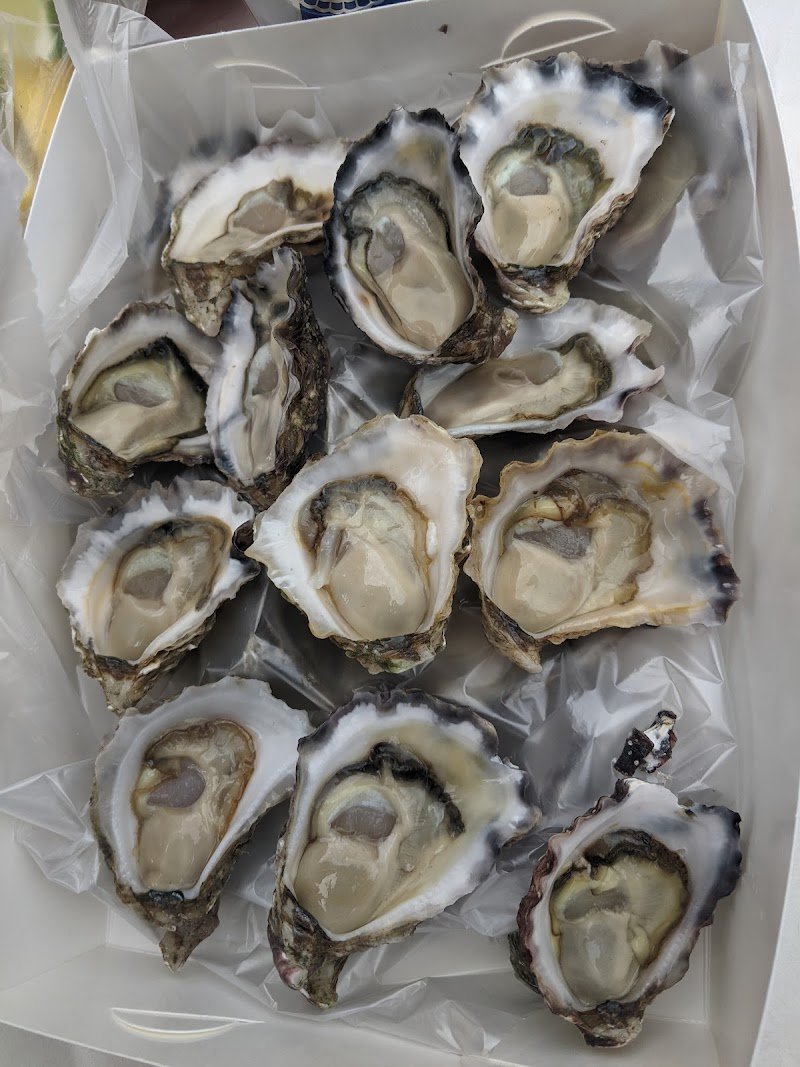 The Oyster Haven photo 4