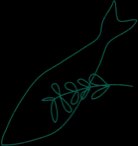 New Farm Seafood photo 6